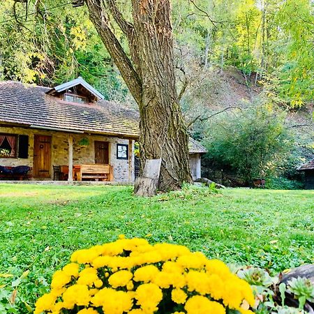 Kuca Za Odmor Todorovica Mlin Villa Gornji Milanovac Dış mekan fotoğraf