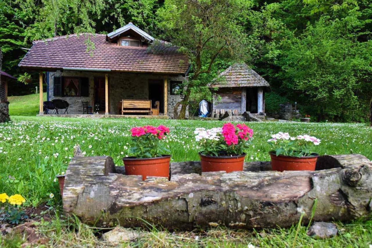 Kuca Za Odmor Todorovica Mlin Villa Gornji Milanovac Dış mekan fotoğraf