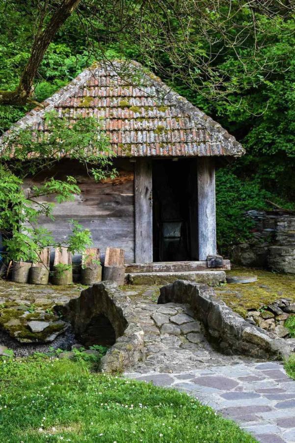 Kuca Za Odmor Todorovica Mlin Villa Gornji Milanovac Dış mekan fotoğraf