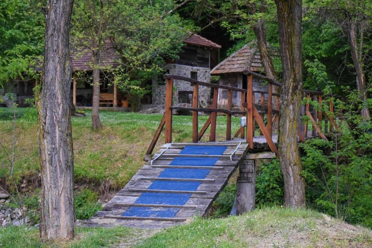 Kuca Za Odmor Todorovica Mlin Villa Gornji Milanovac Dış mekan fotoğraf