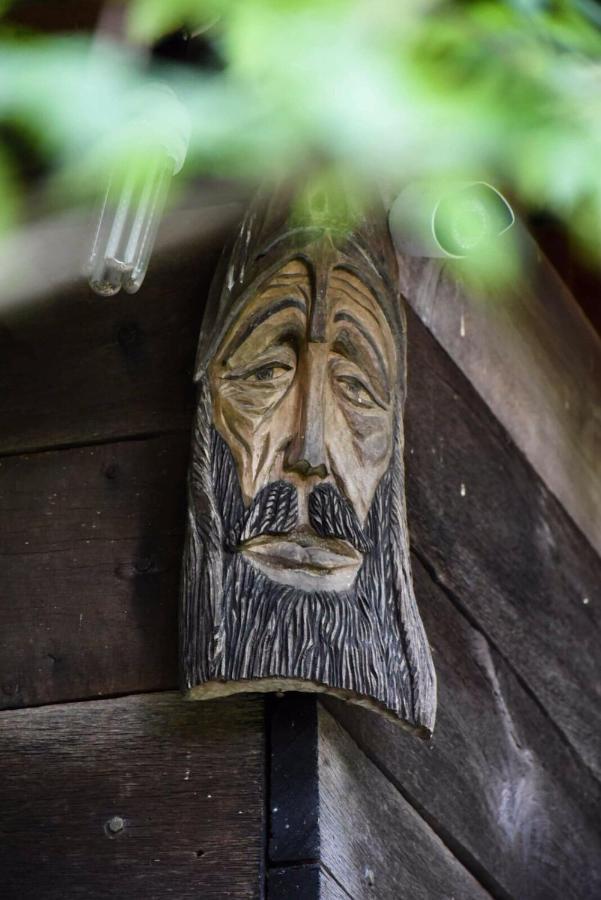 Kuca Za Odmor Todorovica Mlin Villa Gornji Milanovac Dış mekan fotoğraf