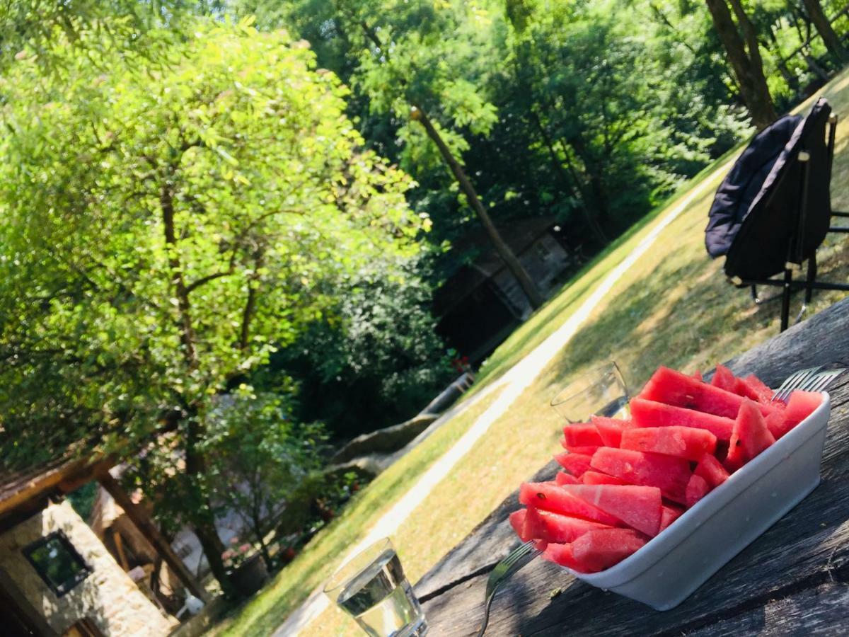 Kuca Za Odmor Todorovica Mlin Villa Gornji Milanovac Dış mekan fotoğraf