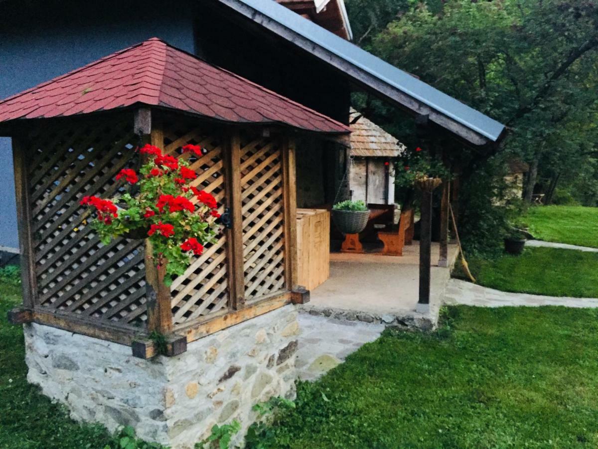 Kuca Za Odmor Todorovica Mlin Villa Gornji Milanovac Dış mekan fotoğraf