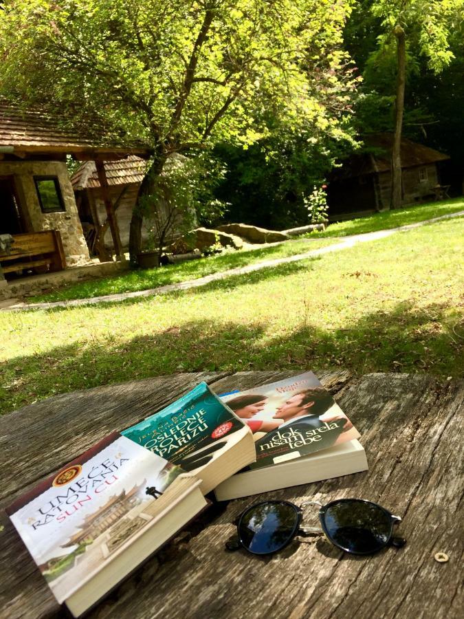 Kuca Za Odmor Todorovica Mlin Villa Gornji Milanovac Dış mekan fotoğraf