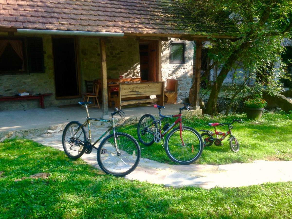 Kuca Za Odmor Todorovica Mlin Villa Gornji Milanovac Dış mekan fotoğraf