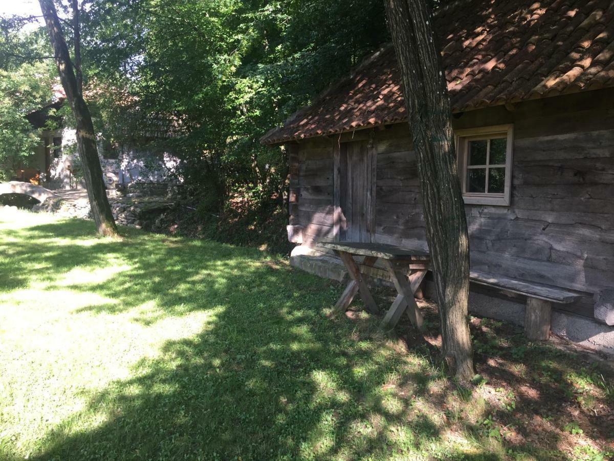 Kuca Za Odmor Todorovica Mlin Villa Gornji Milanovac Dış mekan fotoğraf